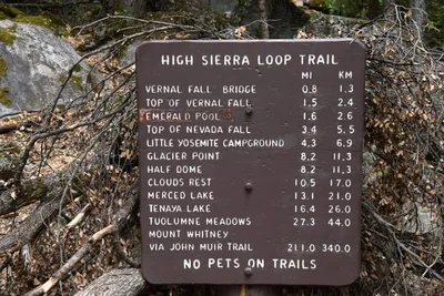 DSC_4681 (Large).JPG